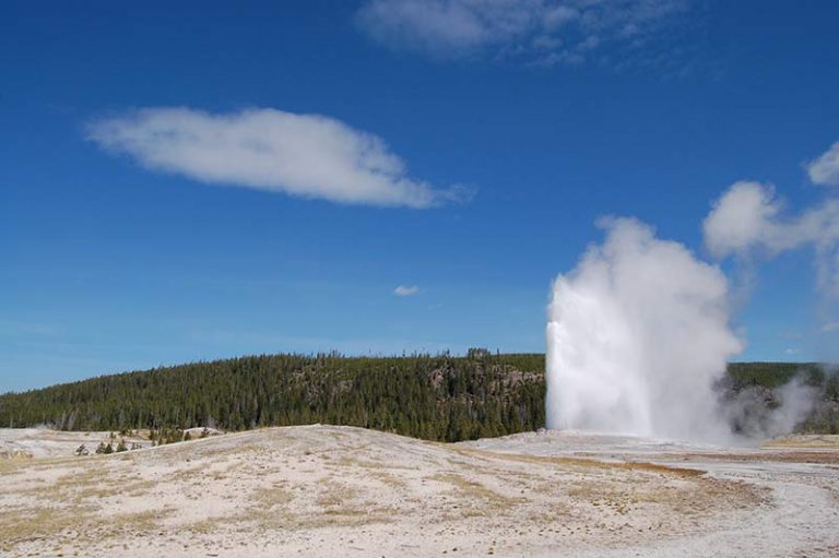 One Day Yellowstone Tour From Bozeman - Yellowstone Tours